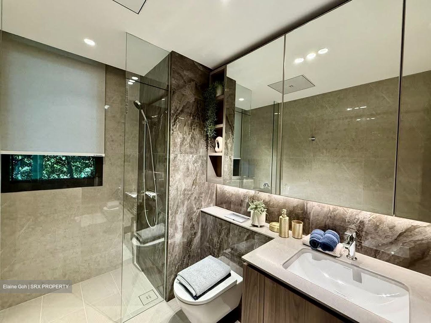 Clementi Avenue 1 (D5), Condominium #609209271